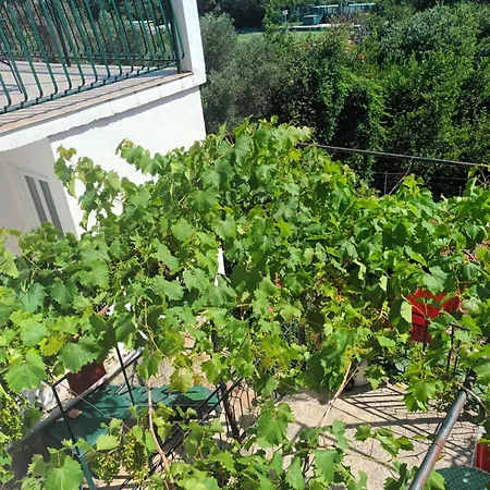 Jo Apartman
